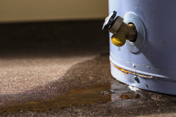 Best Flood restoration services  in Madison, NC