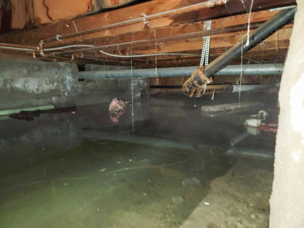 Best Commercial water damage restoration  in Madison, NC