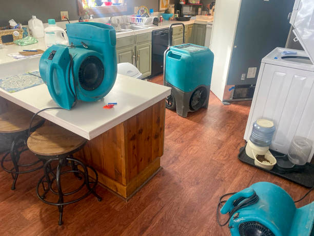 Best Flood damage cleanup  in Madison, NC