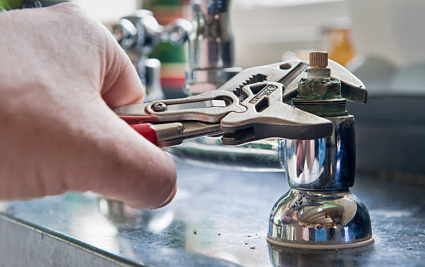 Best Mold removal after water damage  in Madison, NC